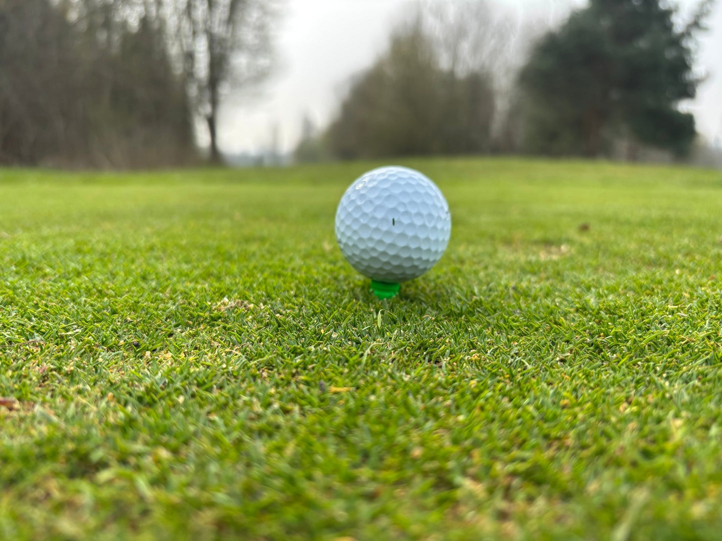 Castle Tees | Golf Tees - 3F Golf