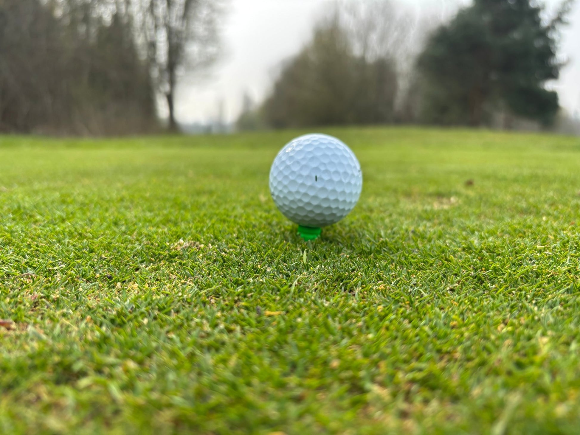 Castle Tees | Golf Tees - 3F Golf