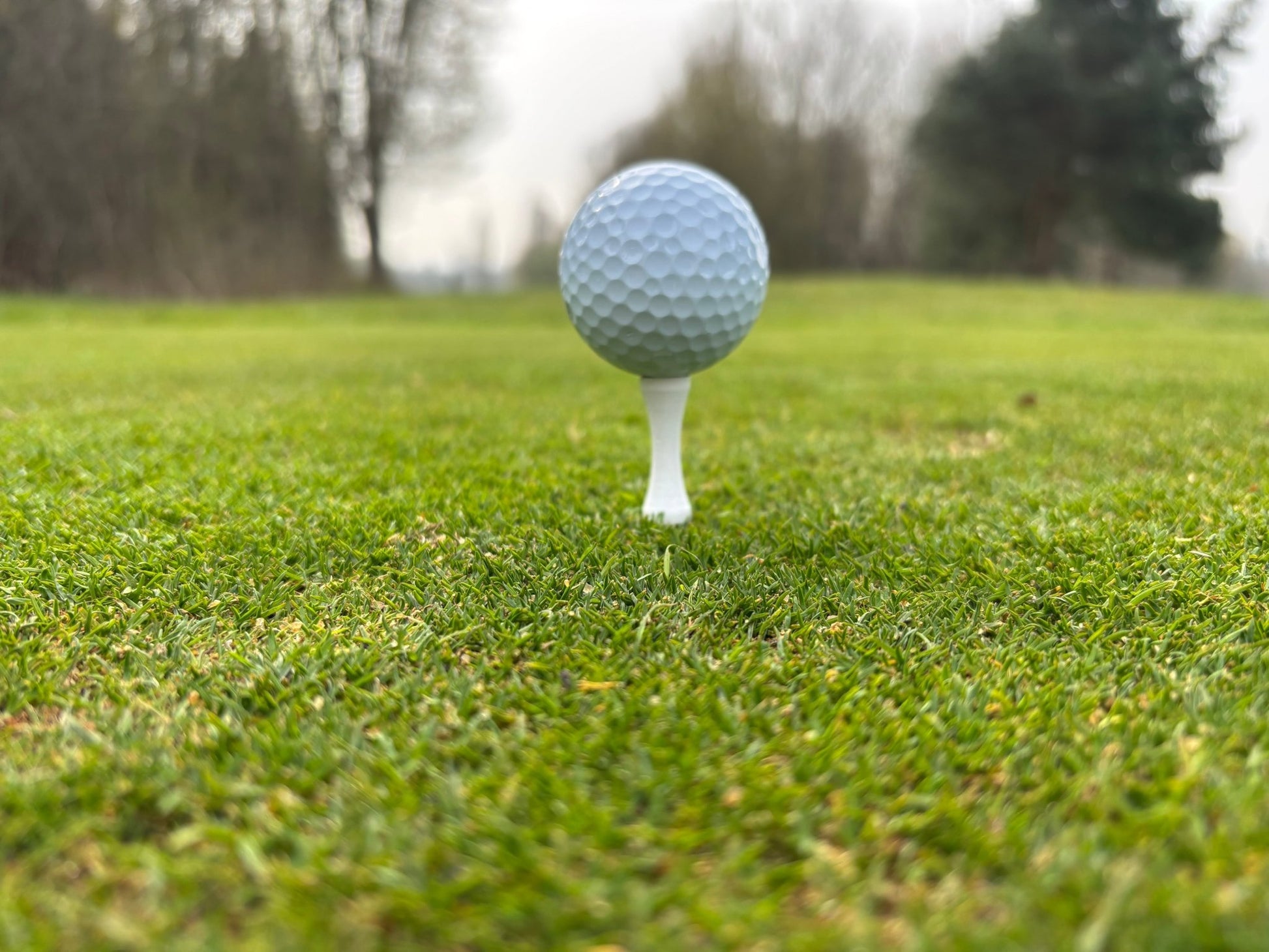 Castle Tees | Golf Tees - 3F Golf