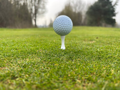 Castle Tees | Golf Tees - 3F Golf