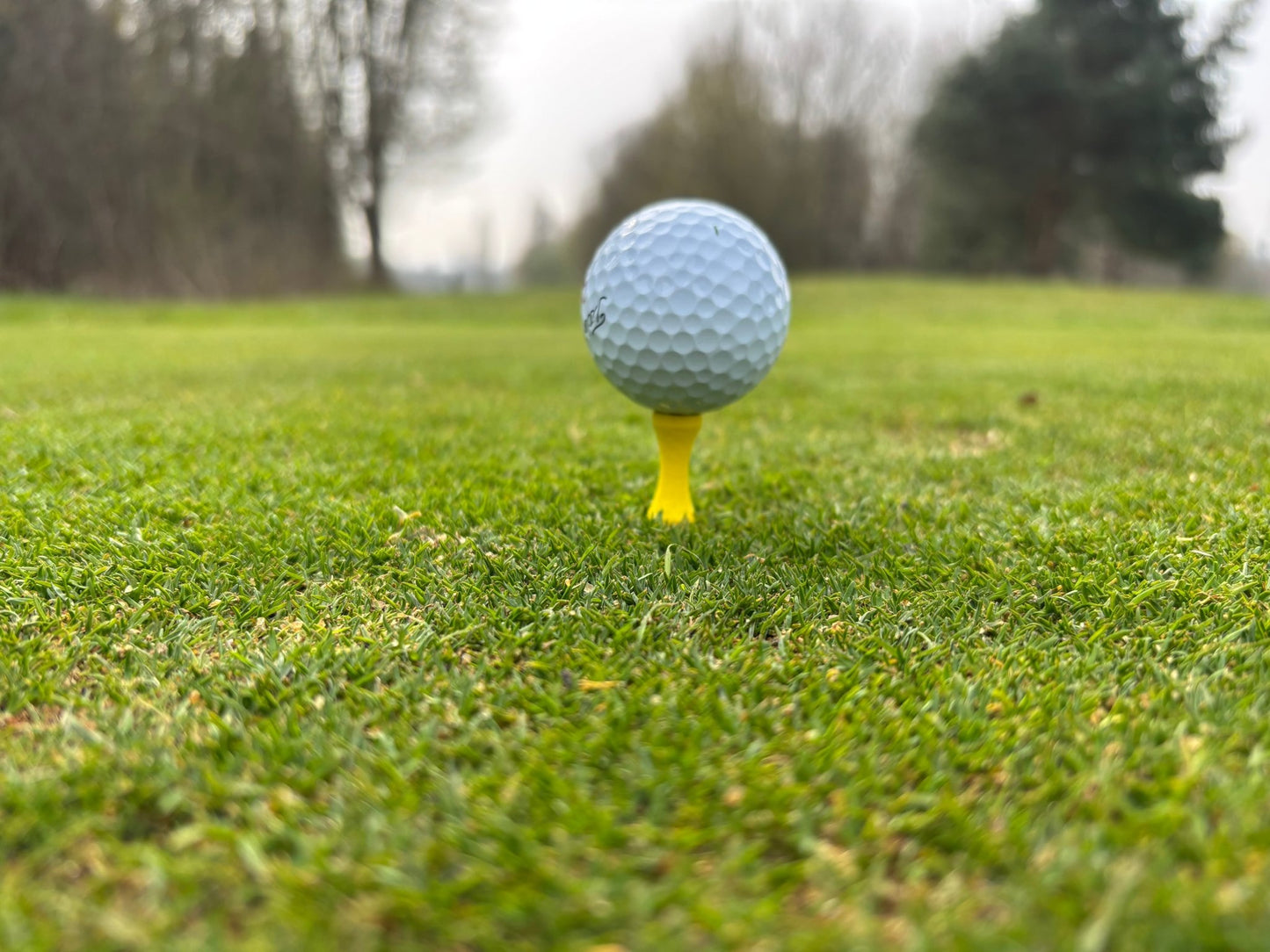 Castle Tees | Golf Tees - 3F Golf