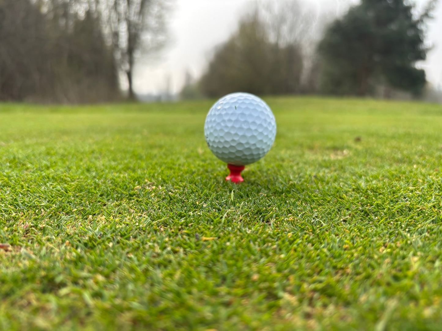 Castle Tees | Golf Tees - 3F Golf